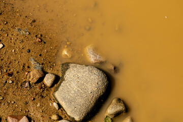 stones in mudy water