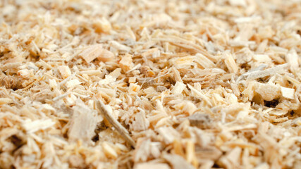 Texture of sawdust, kind of serhu. Wood sawdust background, close-up. Wood sawdust texture, background. Pile of sawdust close-up, background, texture.