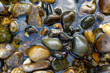 stones in the river