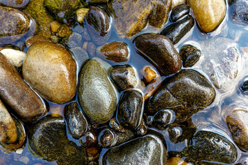 stones in the river