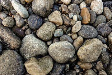 stones in the river