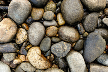 stones in the river