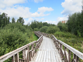 Fototapeta na wymiar Ecological wooden trail in a public park.