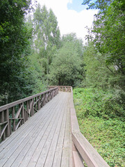 Modern wooden eco trail among the trees in a public park.