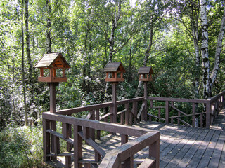 Three bird feeders on a wooden eco trail in a public park.