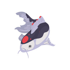 koi fish of purple and black