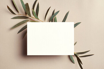 Invitation or greeting card mockup with natural eucalyptus twigs frame. Blank card mockup on beige...