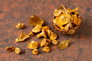 Wild chanterelle mushrooms fall out of basket