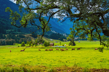 Fototapeta premium Blick auf Oberstdorf