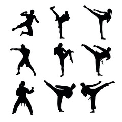 Silhouette Of Martial Arts Fighter Set