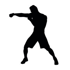 Silhouette Of Martial Arts Fighter