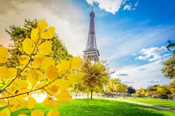 Fotobehang eiffeltour en stadsbeeld van Parijs © neirfy