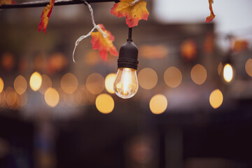 Hanging Edison Light Autumn Leaves