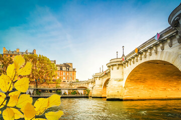 Bridge of Alexandre III, Paris, France