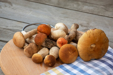 A bunch of mushrooms. Porcini mushrooms and boletus mushrooms lie on a cutting board. Edible mushrooms on a wooden background.