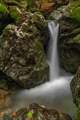 Hrdzavy creek in summer morning in Hrdzava valley in Slovakia
