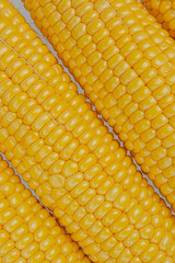 Cob Corn yellow natural Texture Close up