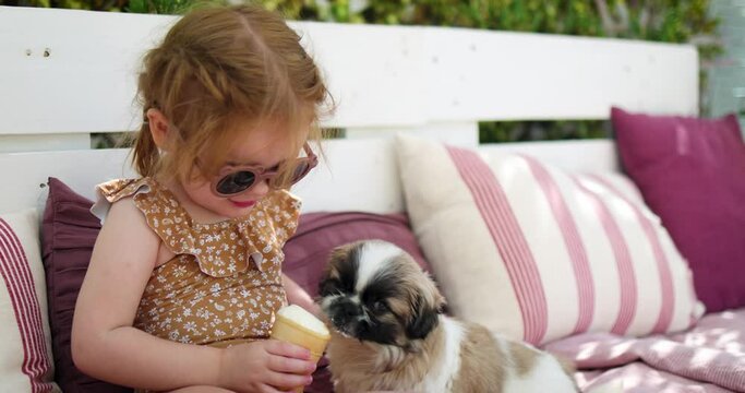 sharing ice cream with puppy dog, generous toddler baby girl feeds puppy friend with some ice cream