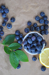 Fresh Blueberries and Lemon. Anthocyanins. Vitamin C. Anti-cold. Top view