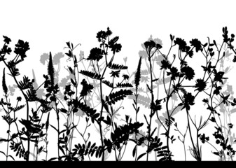 Naklejka premium Seamless horizontal pattern with black and white wild flowers isolated on transparent background.
