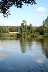 White clouds and trees are reflected in the lake
