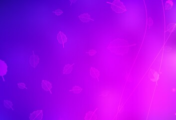 Obraz na płótnie Canvas Light Purple, Pink vector elegant wallpaper with trees, branches.