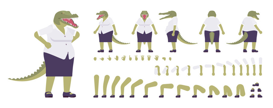 Crocodile woman, green reptile lady, animal head, tail construction set. Aggressive dangerous person with jaws, teeth, wild predator. Cartoon flat style infographic illustration, different gestures