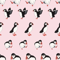 Vector pink background ocean seabird, arctic birds, puffins. Seamless pattern background