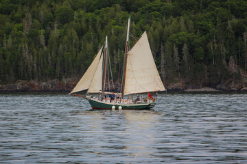 sailboat on the river