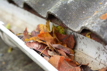 Roof gutter cleaning. A close-up of a clogged rain gutter with fallen leaves, dirt and debris of an...