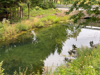 Water source of the Zagorska Pec in Desmerice or Zagorska Cave water spring - Ogulin, Croatia...