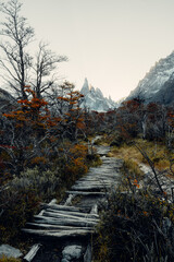 Sendero Cerro Torre Patagonia