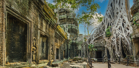 Tempelruine Ta Prohm im Griff einer Tetrameles nudiflora (Würgefeige) © michoff