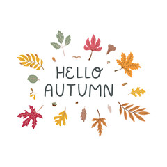 Hello autumn - cute doodle words decorated with fallen maple and oak leaves. Oval composition perfect for card, sticker, cup, tote bag, print. Vector isolated on white background.