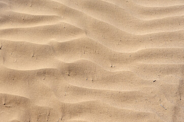 sand background