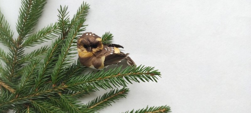 a spruce branch banner with an yll on a white background. New Year Concept