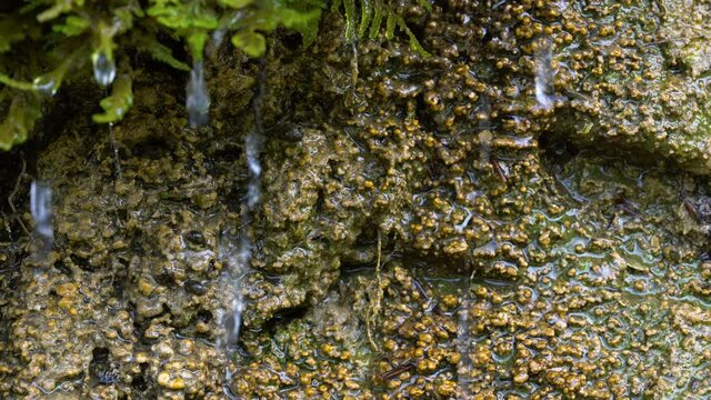 Falling water droplets on surface of wet rock - (4K)