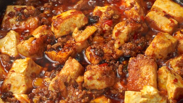 Special Chinese Cuisine Mapo Tofu