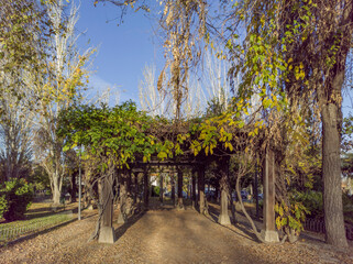 Urban park in autumn