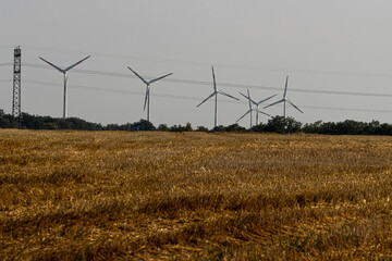 Feld vorm Windpark