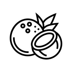 coconut exotic nut line icon vector. coconut exotic nut sign. isolated contour symbol black illustration