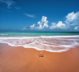 Playas de Cádiz, andalucia, españa