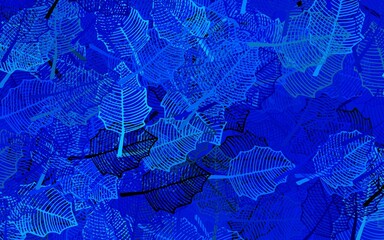 Dark BLUE vector doodle template with leaves.