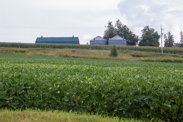 Barn and silos in a field