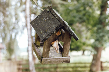 Karmnik dla ptaków zrobiony z drewna.