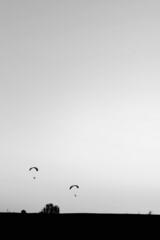 Sky