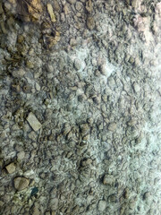 Stones under the water of Indian Ocean.