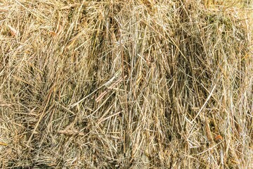 Fragment of a block of pressed hay as a natural background.