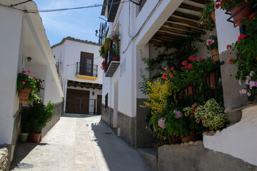 Fototapeta na wymiar Berchules street with a house crammed with pots, plants and flowers hanging on the wall and on the floor
