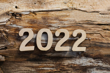 wooden numbers 2022 against the background of the old tree. ecology.  Happy New Year concept